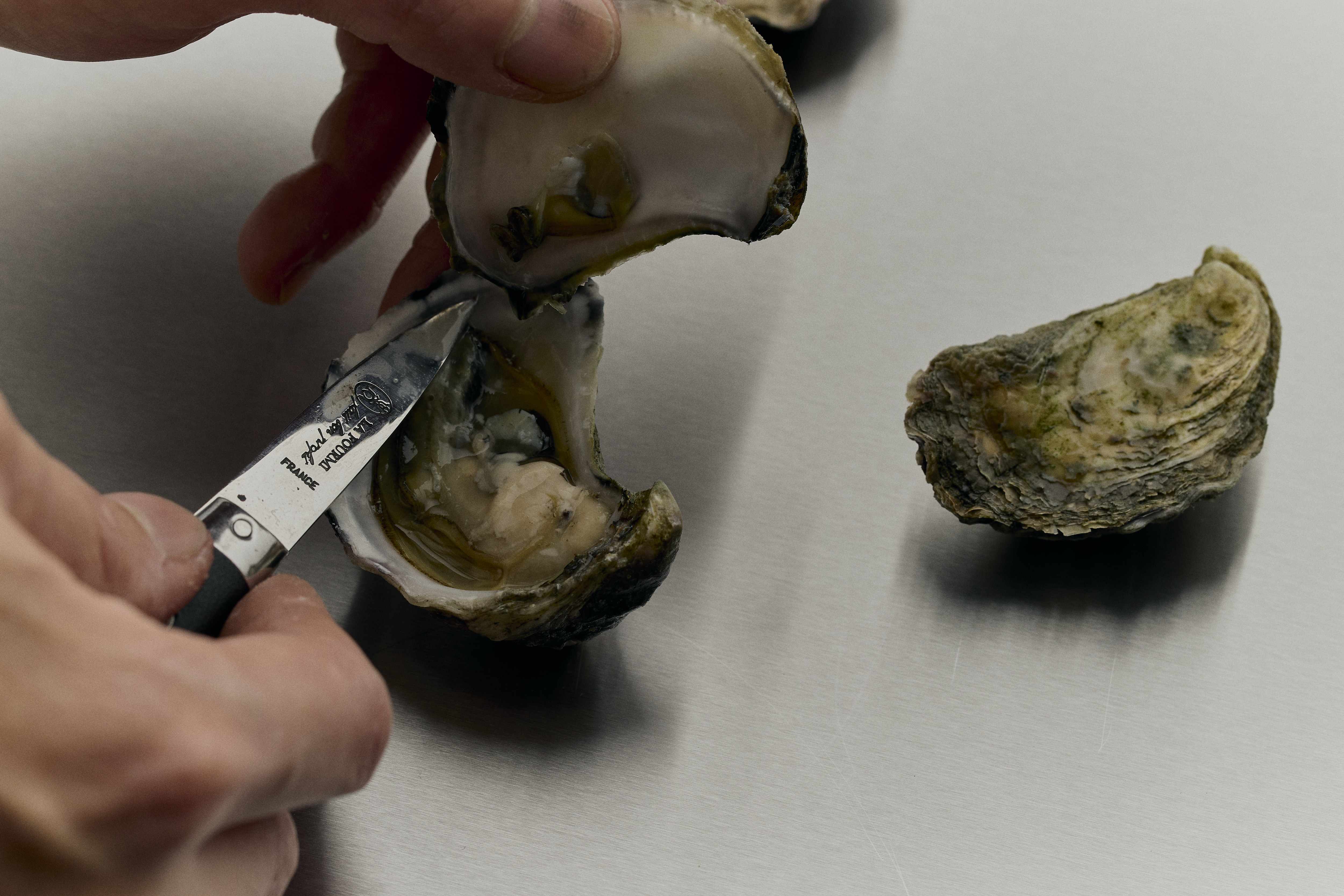 OYSTER 101 WORKSHOP